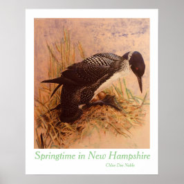 Springtime in New Hampshire von Chloe Dee Noble Poster