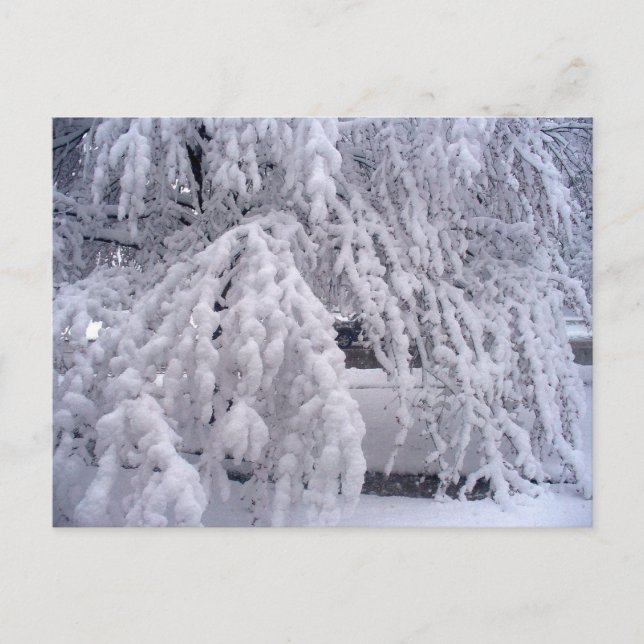 Springtime in Wisconsin Postcard Postkarte (Vorderseite)