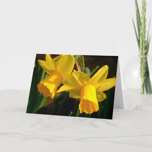 Springtime Karte (Vorderseite)