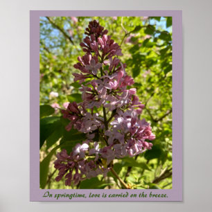 Springtime Lilac Inspiration Print Poster