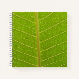 Springtime Notizbuch