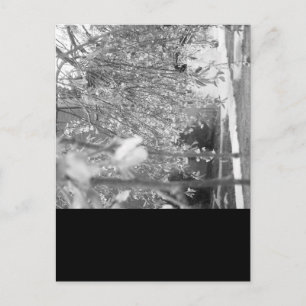 Springtime Postkarte