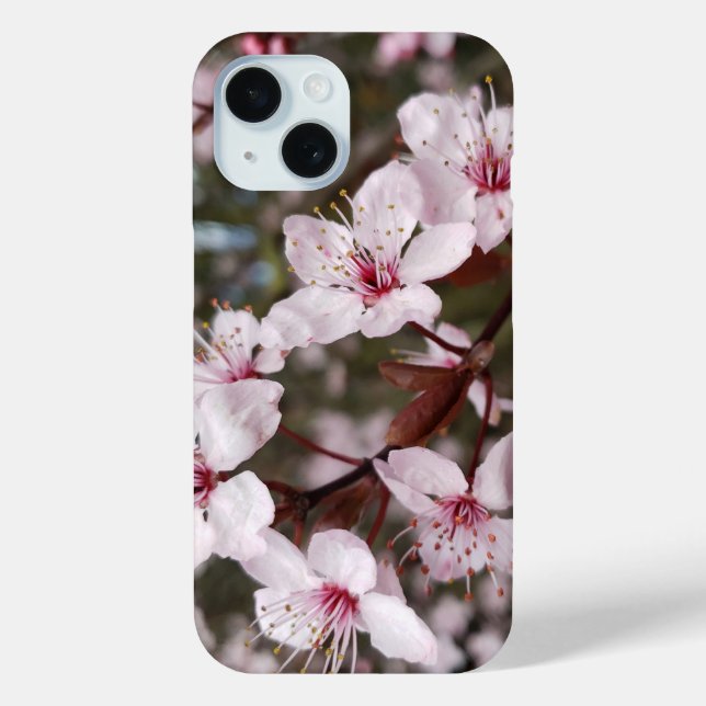 Springtime Sakura Case-Mate iPhone Hülle (Rückseite)