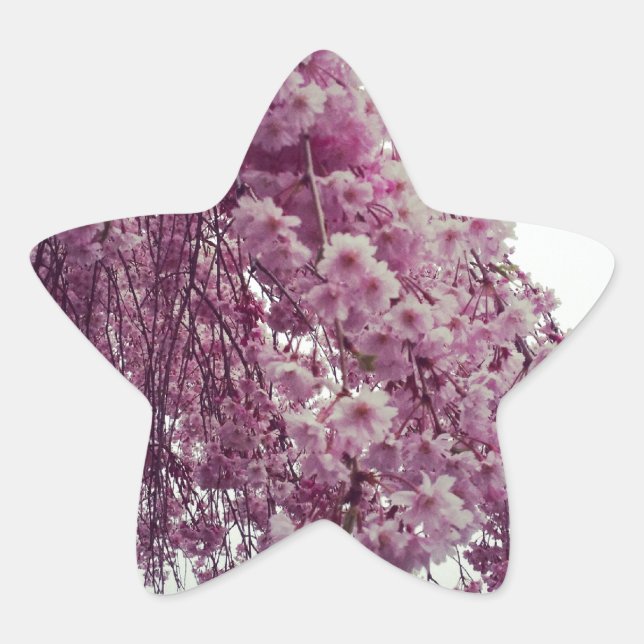 Springtime Stern-Aufkleber (Vorderseite)