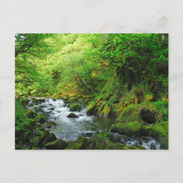 Springtime-Stream Postkarte (Vorderseite)