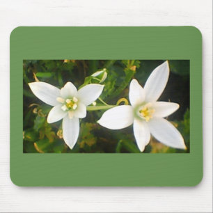 Springtime Weiße Blüten Mousepad