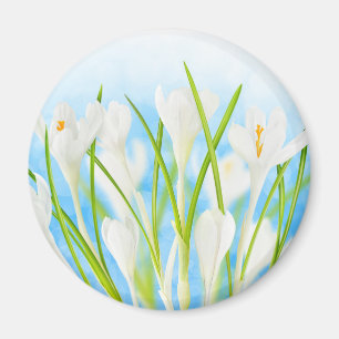 Springtime (weiße Kreuze) Magnet