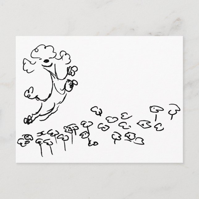 Springy Poodle Postkarte (Vorderseite)