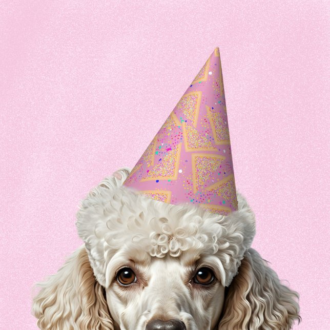 Sprinkle Aussie Fun, farbenfroher Kindergeburtstag Partyhütchen (Von Creator hochgeladen)