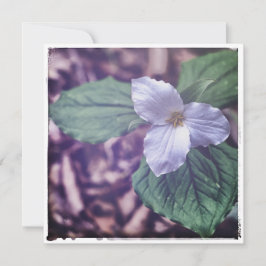 Sprint Trillium Autochrome Style Mitteilungskarte