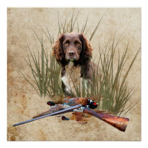 Sprocker Spanel Tapestry Poster