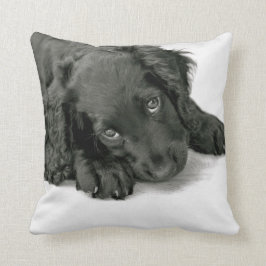 Sprocker Spaniel Dave Kissen