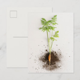 Sprossenkarotte Minimalistische Botanische Fotogra Postkarte