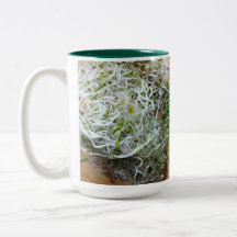 Sprouts Tasse!