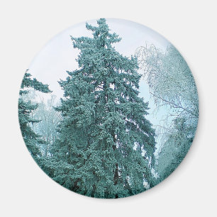 Spruce mit Schnee Magnet