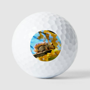Sprung Golfball