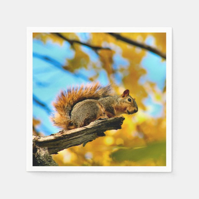 Sprung Serviette (Vorderseite)