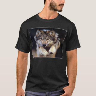 Sprung T-Shirt