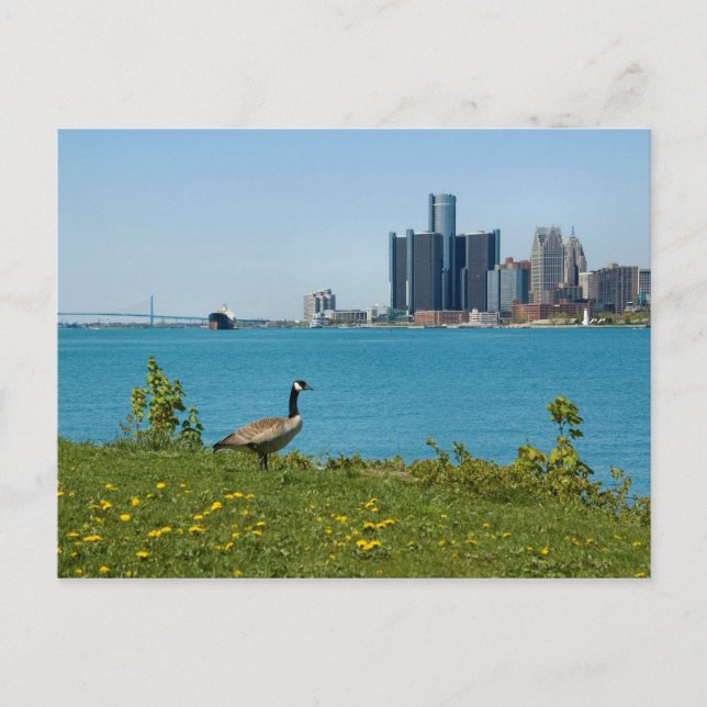 Sprungfeder Postkarte (Vorderseite)