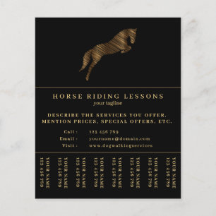 Sprungpferd Reiten Pferdetrainer Flyer