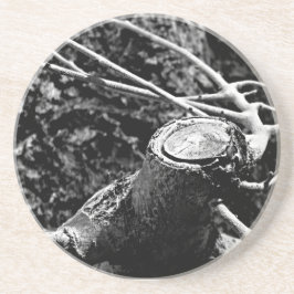 Spucken Sie mich um den Baum Getränkeuntersetzer