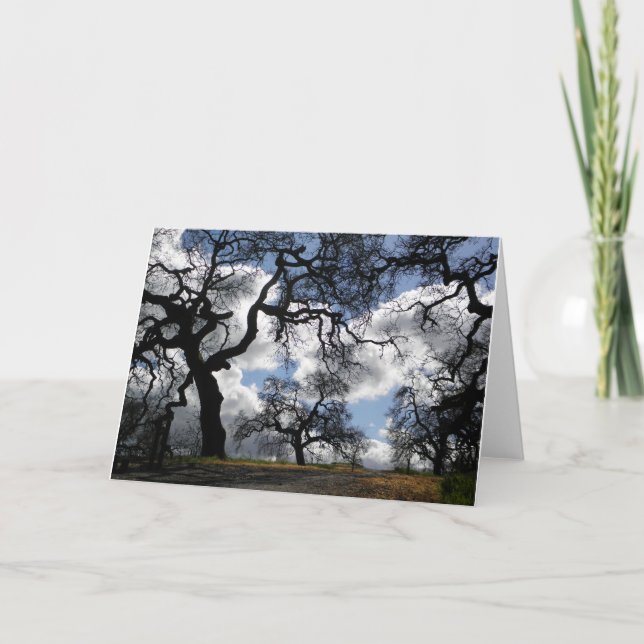 Spuk Bäume Schönes Landschaftliches Foto Karte (Vorderseite)
