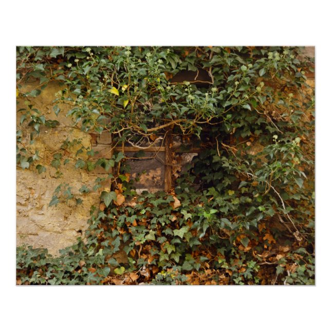 Spuk Fenster Poster (Vorderseite)