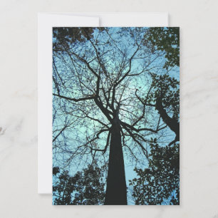 Spuk HolzHalloween-Einladung Einladung