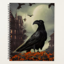 Spuk House Raven