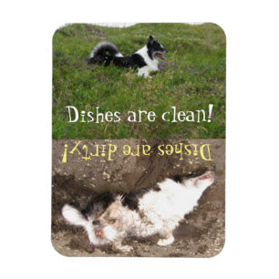 Spülmaschinen-Erinnerung, säubern gegen Magnet