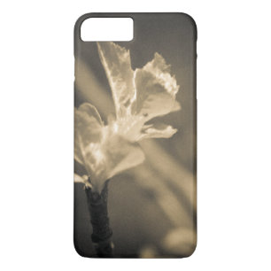 Spur des Frühlings title_seo2