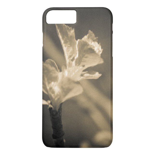 Spur des Frühlings Case-Mate iPhone Hülle (Rückseite)