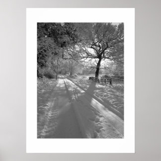 Spuren im Schnee: Cheshire Poster