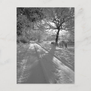 Spuren im Schnee: Cheshire Postkarte