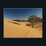 Spuren in der Wüstenlandschaft Namib Postkarte<br><div class="desc">AssetID: 120473815 / Juergen Ritterbach / Spuren in der Wüstenlandschaft Namib in Sossusvlei,  Namib-Naukluft National Park,  Namibia,  Afrika</div>