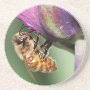 Spürende kleine Biene Getränkeuntersetzer