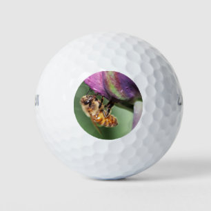 Spürende kleine Biene Golfball