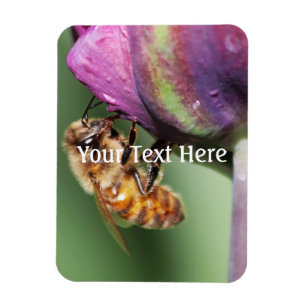 Spürende kleine Biene Magnet