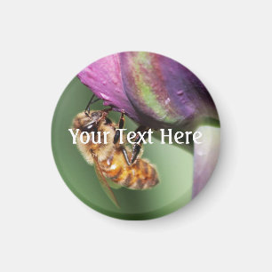 Spürende kleine Biene Magnet