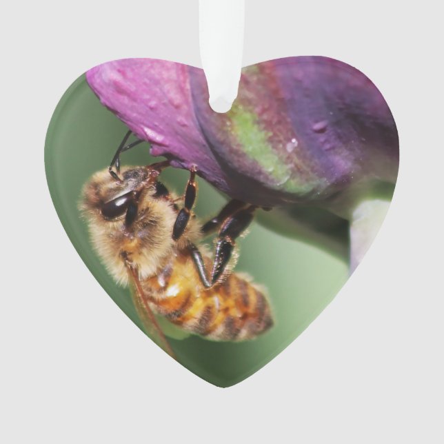 Spürende kleine Biene Ornament (Vorderseite)
