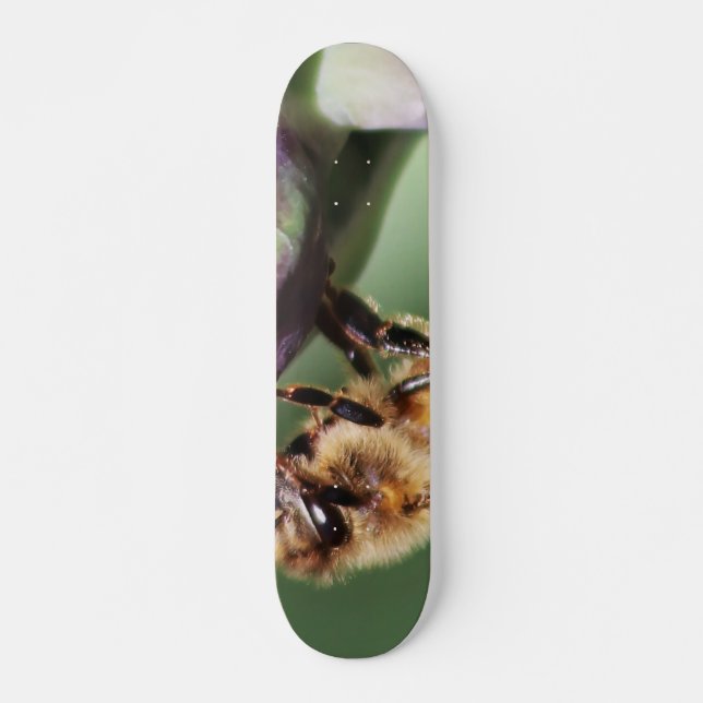 Spürende kleine Biene Skateboard (Vorne)