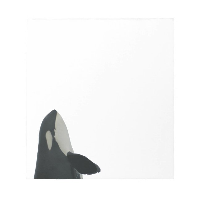 Spyhopping Orca Notepad Notizblock (Vorderseite)