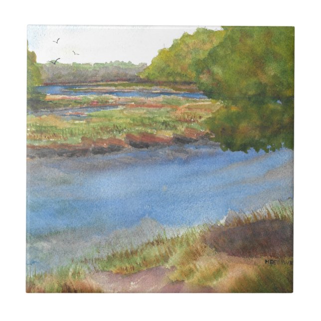 Squamscott River bei Newfields 31 juli 2015 Fliese (Vorderseite)