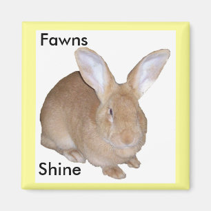 Square Fawn Flemish Riant Rabbit Magnet