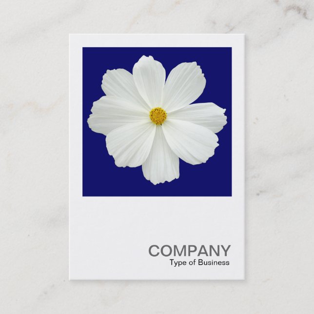 Square Foto 0166 - Cosmos Blume on Dark Blue Visitenkarte (Vorderseite)