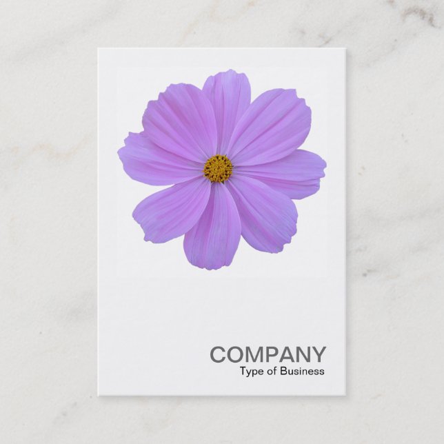 Square Foto 0171 - Lila Kosmos-Blume Visitenkarte (Vorderseite)