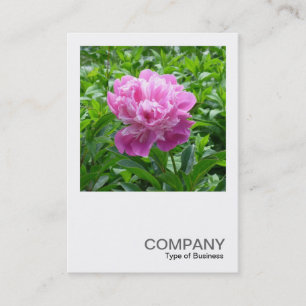 Square Foto 0234 - Pink Peony Visitenkarte