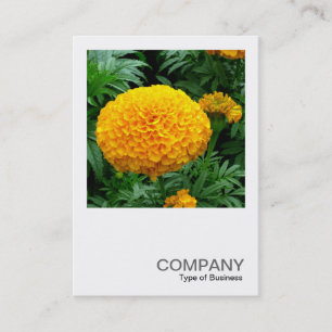 Square Foto 0240 - Orange Chrysanthemum Visitenkarte