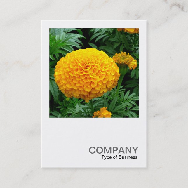Square Foto 0240 - Orange Chrysanthemum Visitenkarte (Vorderseite)