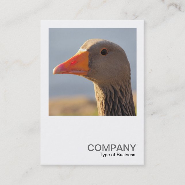 Square Foto 0393 - Inquisitive Gans Visitenkarte (Vorderseite)